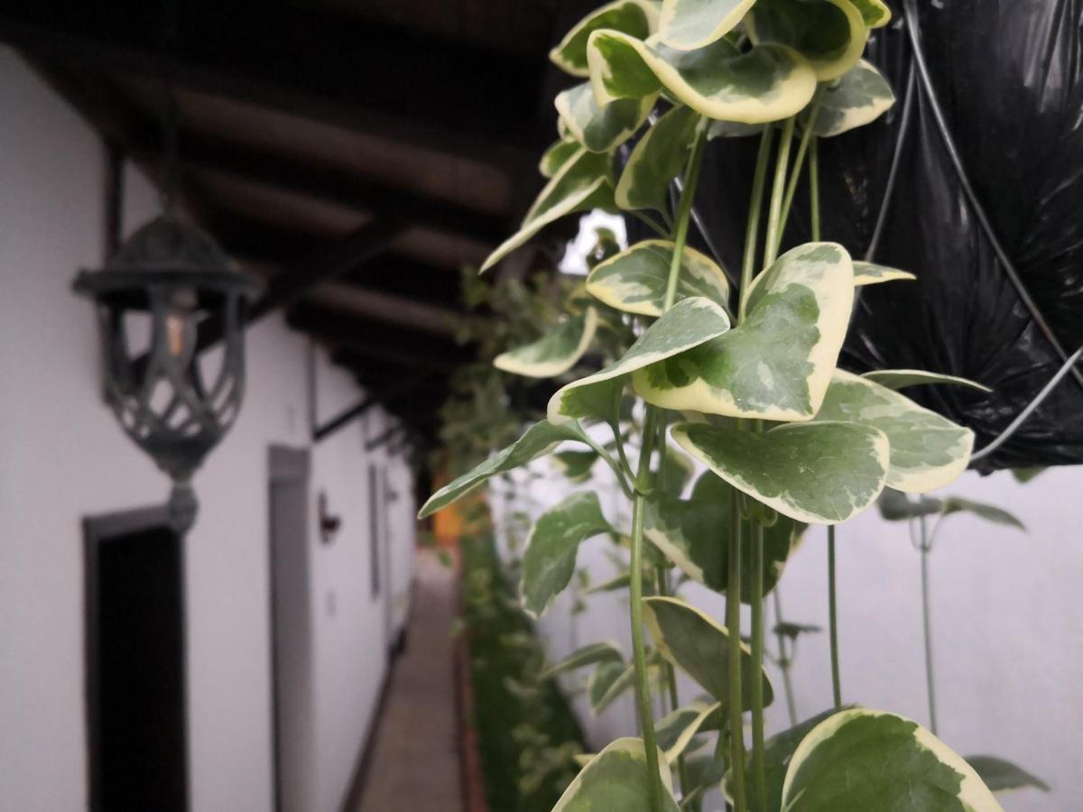 Hotel San Judas Tadeo Garden アンティグア・グアテマラ エクステリア 写真